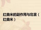 红曲米的副作用与危害（红曲米）