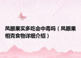 凤眼果实多吃会中毒吗（凤眼果相克食物详细介绍）