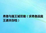 勇者与魔王城攻略（求勇者战魔王通关存档）