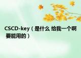 CSCD-key（是什么 给我一个啊 要能用的）