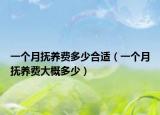 一个月抚养费多少合适（一个月抚养费大概多少）