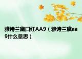 雅诗兰黛口红AA9（雅诗兰黛aa9什么意思）