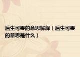 后生可畏的意思解释（后生可畏的意思是什么）