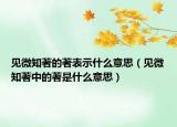 见微知著的著表示什么意思（见微知著中的著是什么意思）