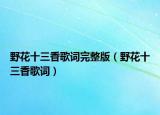 野花十三香歌词完整版（野花十三香歌词）