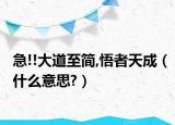 急!!大道至简,悟者天成（什么意思?）