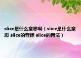 slice是什么意思啊（slice是什么意思 slice的音标 slice的用法）