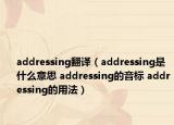addressing翻译（addressing是什么意思 addressing的音标 addressing的用法）