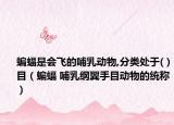 蝙蝠是会飞的哺乳动物,分类处于( )目（蝙蝠 哺乳纲翼手目动物的统称）