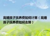 离婚孩子抚养费如何计算（离婚孩子抚养费如何去算）