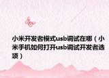 小米开发者模式usb调试在哪（小米手机如何打开usb调试开发者选项）