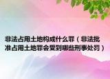 非法占用土地构成什么罪（非法批准占用土地罪会受到哪些刑事处罚）