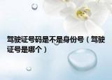 驾驶证号码是不是身份号（驾驶证号是哪个）