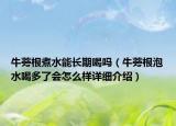 牛蒡根煮水能长期喝吗（牛蒡根泡水喝多了会怎么样详细介绍）