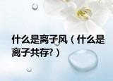 什么是离子风（什么是离子共存?）