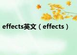 effects英文（effects）