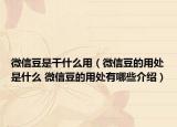 微信豆是干什么用（微信豆的用处是什么 微信豆的用处有哪些介绍）
