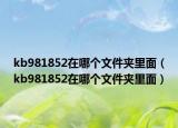 kb981852在哪个文件夹里面（kb981852在哪个文件夹里面）