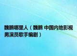 魏鹏哪里人（魏鹏 中国内地影视男演员歌手编剧）