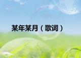 某年某月（歌词）