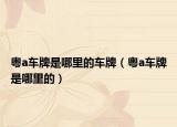 粤a车牌是哪里的车牌（粤a车牌是哪里的）