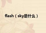 flash（sky是什么）