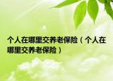 个人在哪里交养老保险（个人在哪里交养老保险）