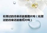 处理过的违章还能看图片吗（处理过的违章还能看照片吗）