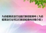 九价疫苗还没打完能打新冠疫苗吗（九价疫苗没打完可以打新冠疫苗吗详细介绍）