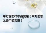 单方面怎样申请离婚（单方面怎么去申请离婚）