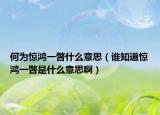 何为惊鸿一瞥什么意思（谁知道惊鸿一瞥是什么意思啊）