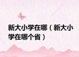 新大小学在哪（新大小学在哪个省）