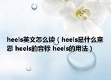 heels英文怎么读（heels是什么意思 heels的音标 heels的用法）