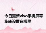 今日更新vivo手机屏幕旋转设置在哪里