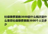 社保缴费基数3800是什么档次是什么意思社保缴费基数3800个人交多少