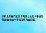 手机上怎样交公交卡充值（公交卡手机如何充值 公交卡手机怎样充值介绍）