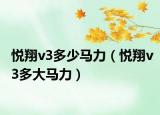 悦翔v3多少马力（悦翔v3多大马力）