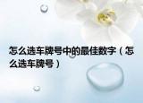 怎么选车牌号中的最佳数字（怎么选车牌号）