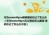 华为mate40pro锁屏密码忘记了怎么办（华为mate40pro忘记密码怎么解锁 密码忘记了怎么办介绍）