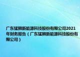 广东猛狮新能源科技股份有限公司2021年财务报告（广东猛狮新能源科技股份有限公司）