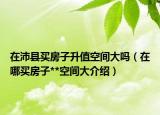 在沛县买房子升值空间大吗（在哪买房子**空间大介绍）
