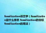 fossilization语言学（fossilization是什么意思 fossilization的音标 fossilization的用法）