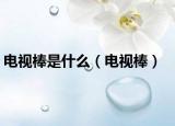电视棒是什么（电视棒）