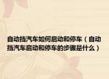 自动挡汽车如何启动和停车（自动挡汽车启动和停车的步骤是什么）
