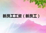 新员工工资（新员工）