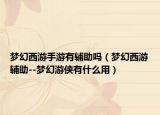 梦幻西游手游有辅助吗（梦幻西游辅助--梦幻游侠有什么用）