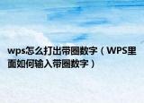wps怎么打出带圈数字（WPS里面如何输入带圈数字）