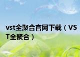 vst全聚合官网下载（VST全聚合）
