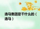 逸马集团是干什么的（逸马）