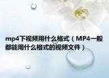 mp4下视频用什么格式（MP4一般都能用什么格式的视频文件）